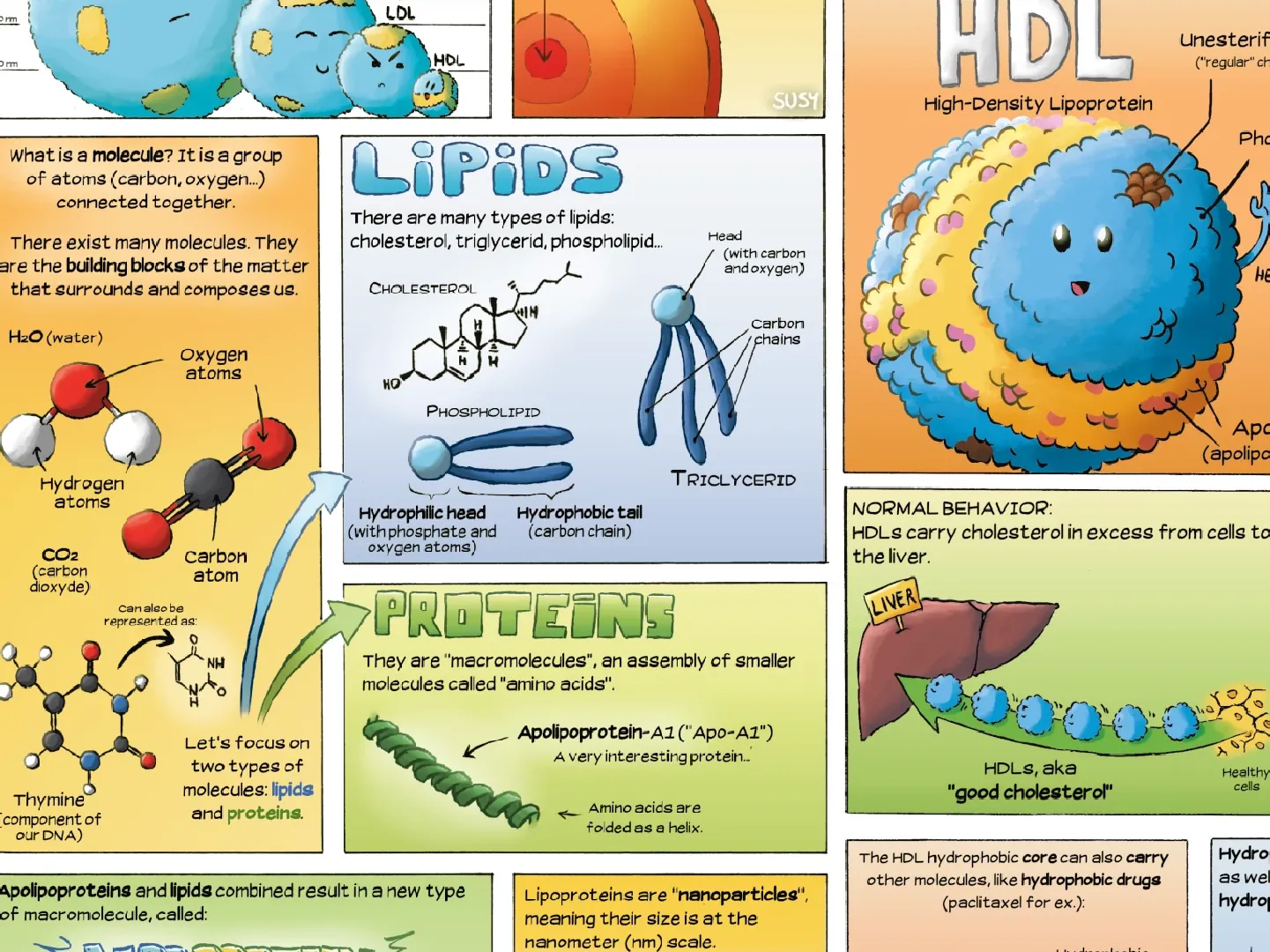 Illustration scientifique
