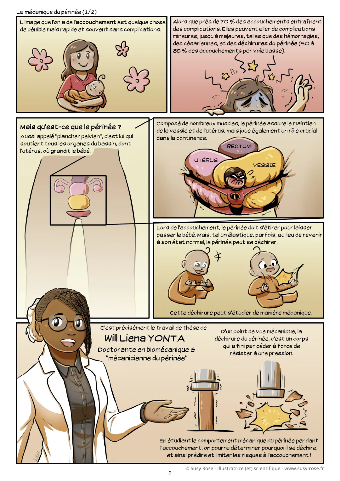 La mécanique du périnée - 1/2